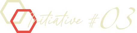 Initiative #03